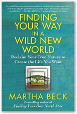 Finding Your Way in a Wild New World